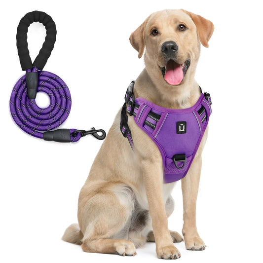 Escape Proof Dog Harness & Leash Set