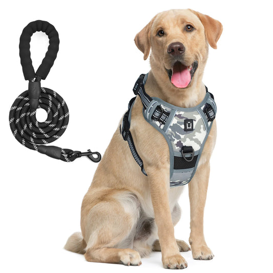 Escape Proof Dog Harness & Leash Set