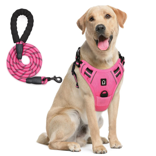 Escape Proof Dog Harness & Leash Set