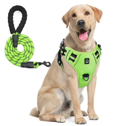 Escape Proof Dog Harness & Leash Set