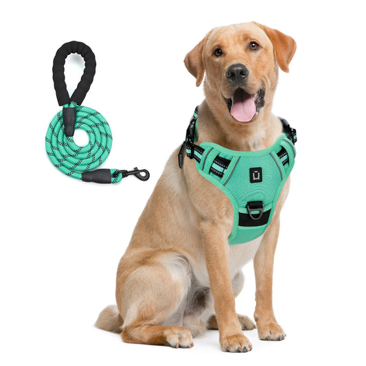 Escape Proof Dog Harness & Leash Set