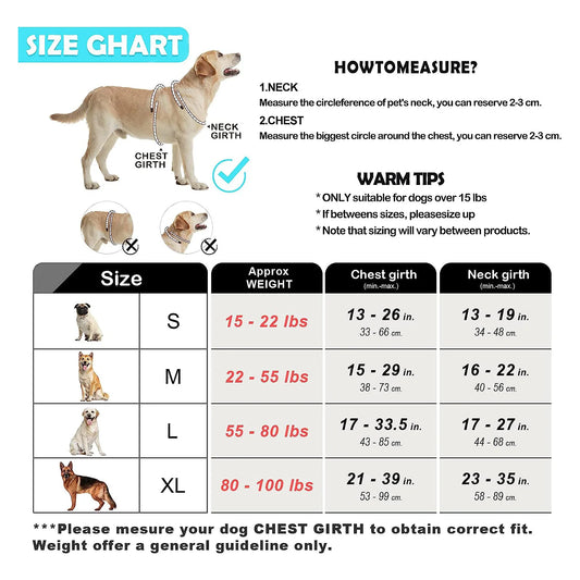 Escape Proof Dog Harness & Leash Set