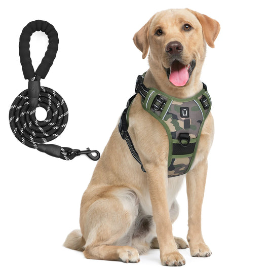Escape Proof Dog Harness & Leash Set