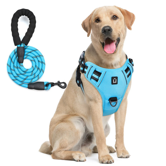 Escape Proof Dog Harness & Leash Set