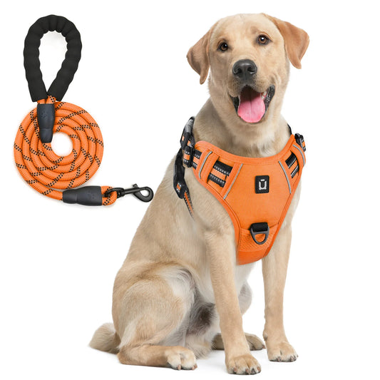 Escape Proof Dog Harness & Leash Set