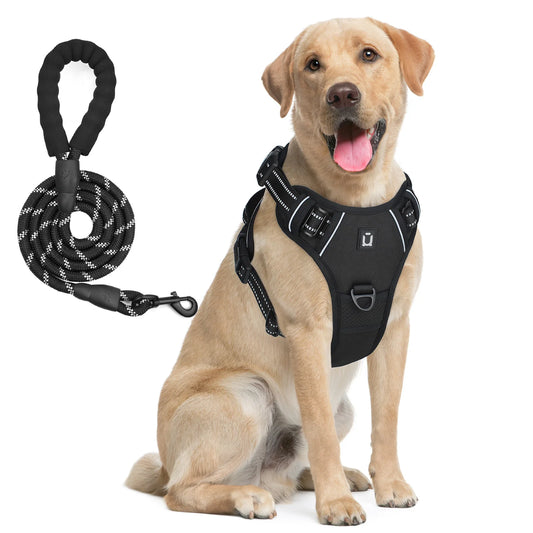 Escape Proof Dog Harness & Leash Set