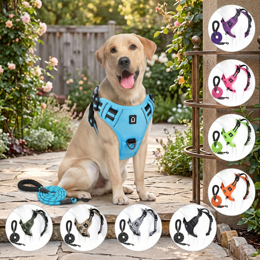 Escape Proof Dog Harness & Leash Set