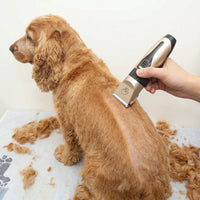 Cordless Pet Hair Trimmer for Dogs Cats